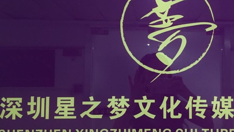 公关传播案例范文写作指南