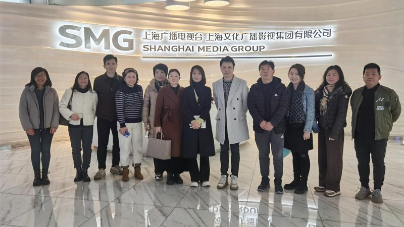 深圳市文化有限公司