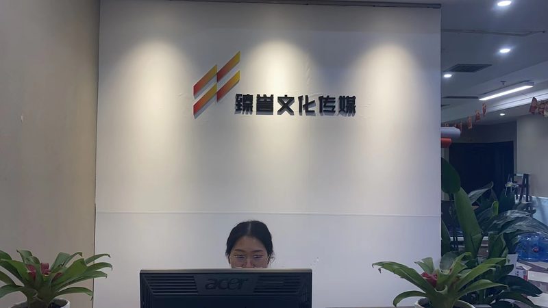 媒介投放策略：精准定位，高效触达**