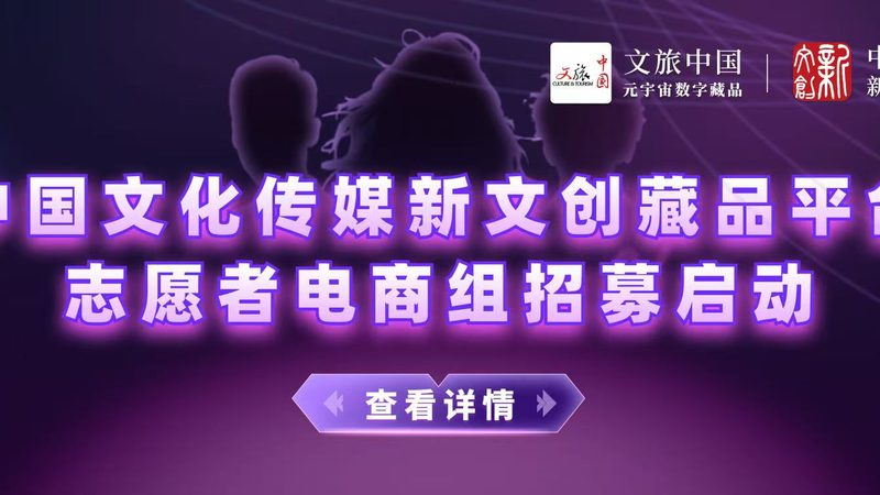 直播代运营定制服务：揭秘高效内容生态构建之道